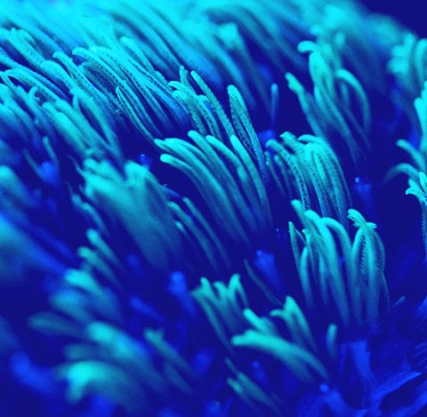 PEM Corporate finance management