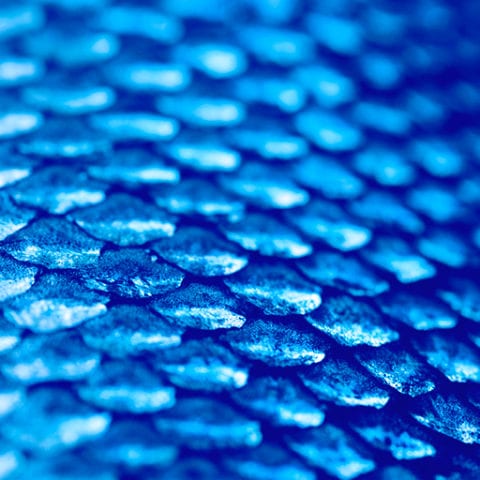 Case studies | PEM Corporate finance management