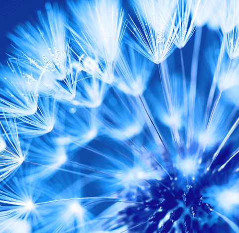 PEM Corporate finance management