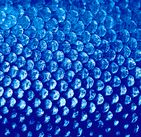 PEM Corporate finance management