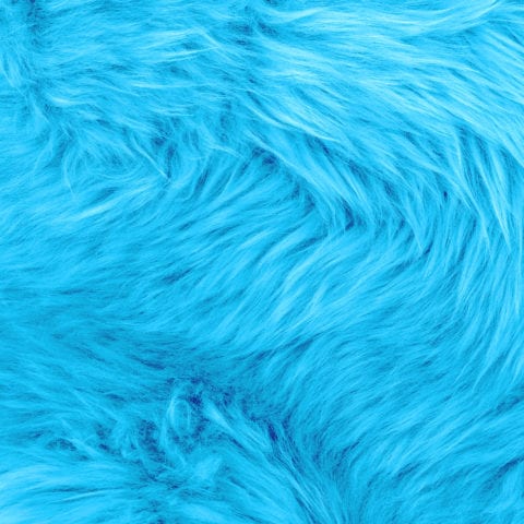 PEM Corporate finance management