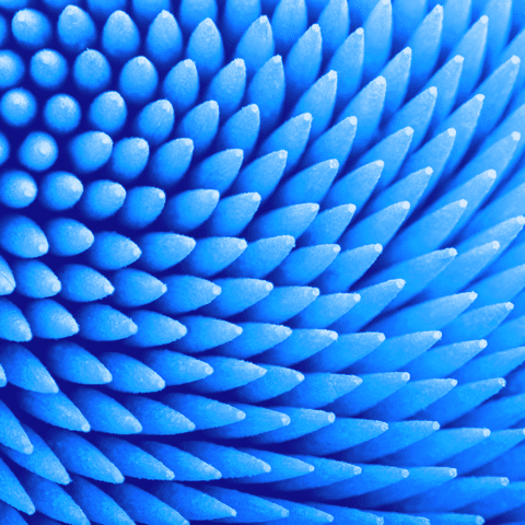 PEM Corporate finance management