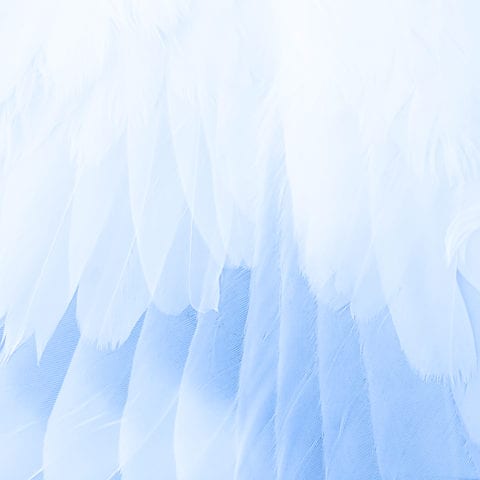 PEM Corporate finance management