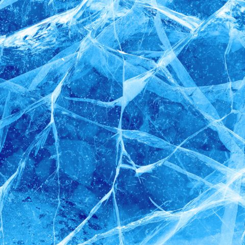 PEMCF-Section-Image-2