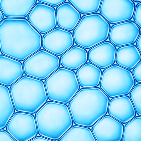 | PEM Corporate finance