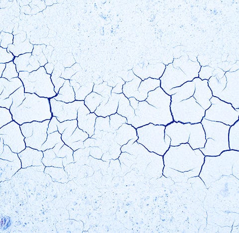 PEM Corporate finance management